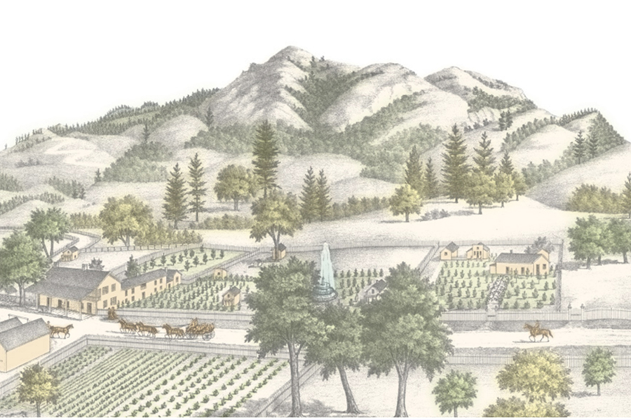 Altruria Bottle Graphic