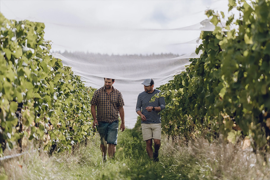 Co Founders of the Marlborist walking through the vineyard