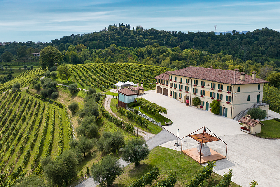 Astoria Vineyard Drone Shot