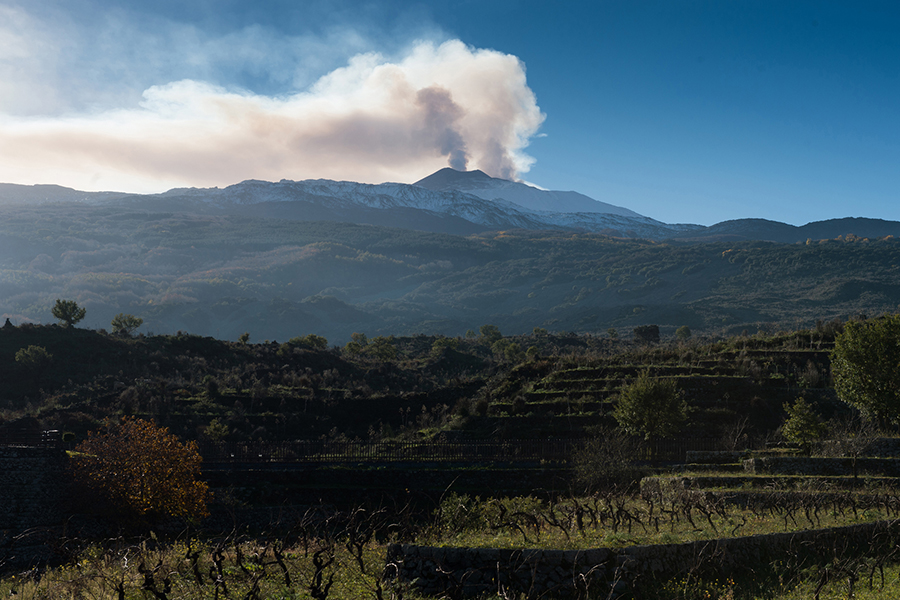 Duca di Salaparuta Volcano