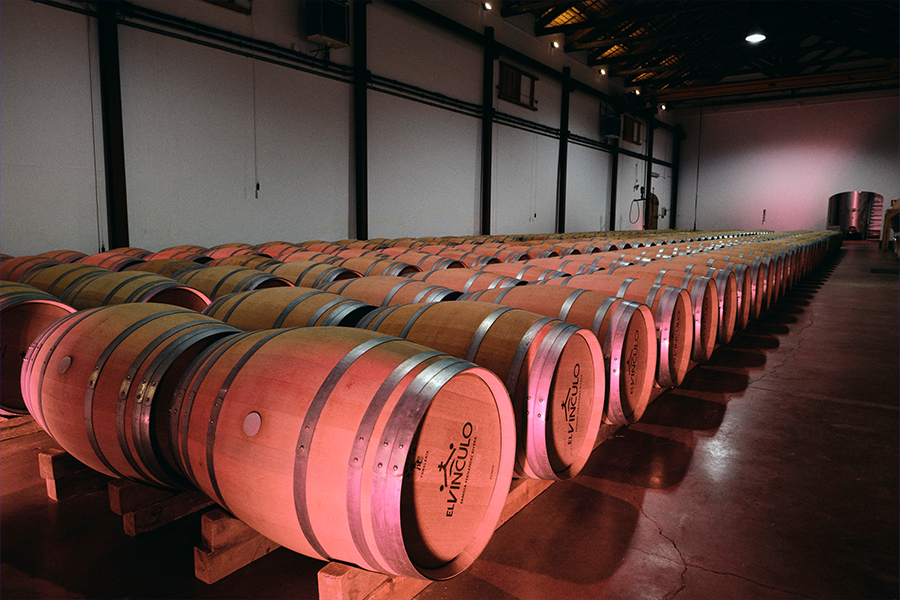 El-Vinculo-Cellar