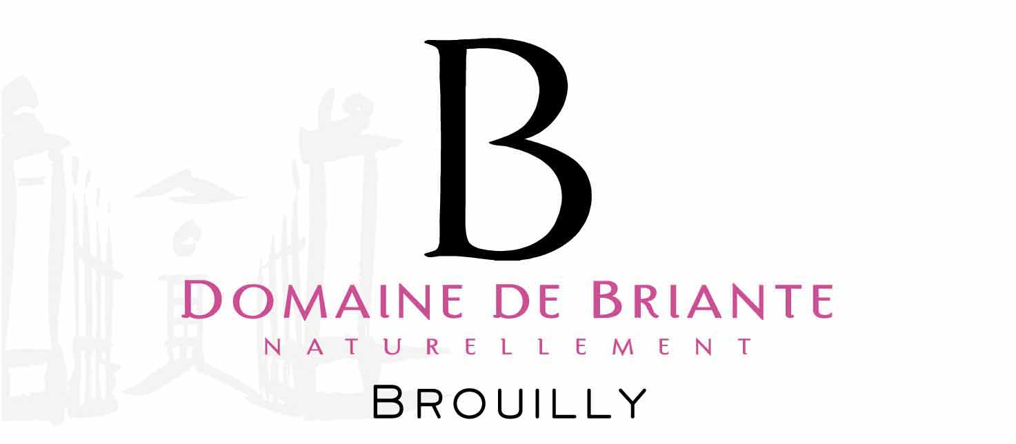 Domaine de Briante - Brouilly label