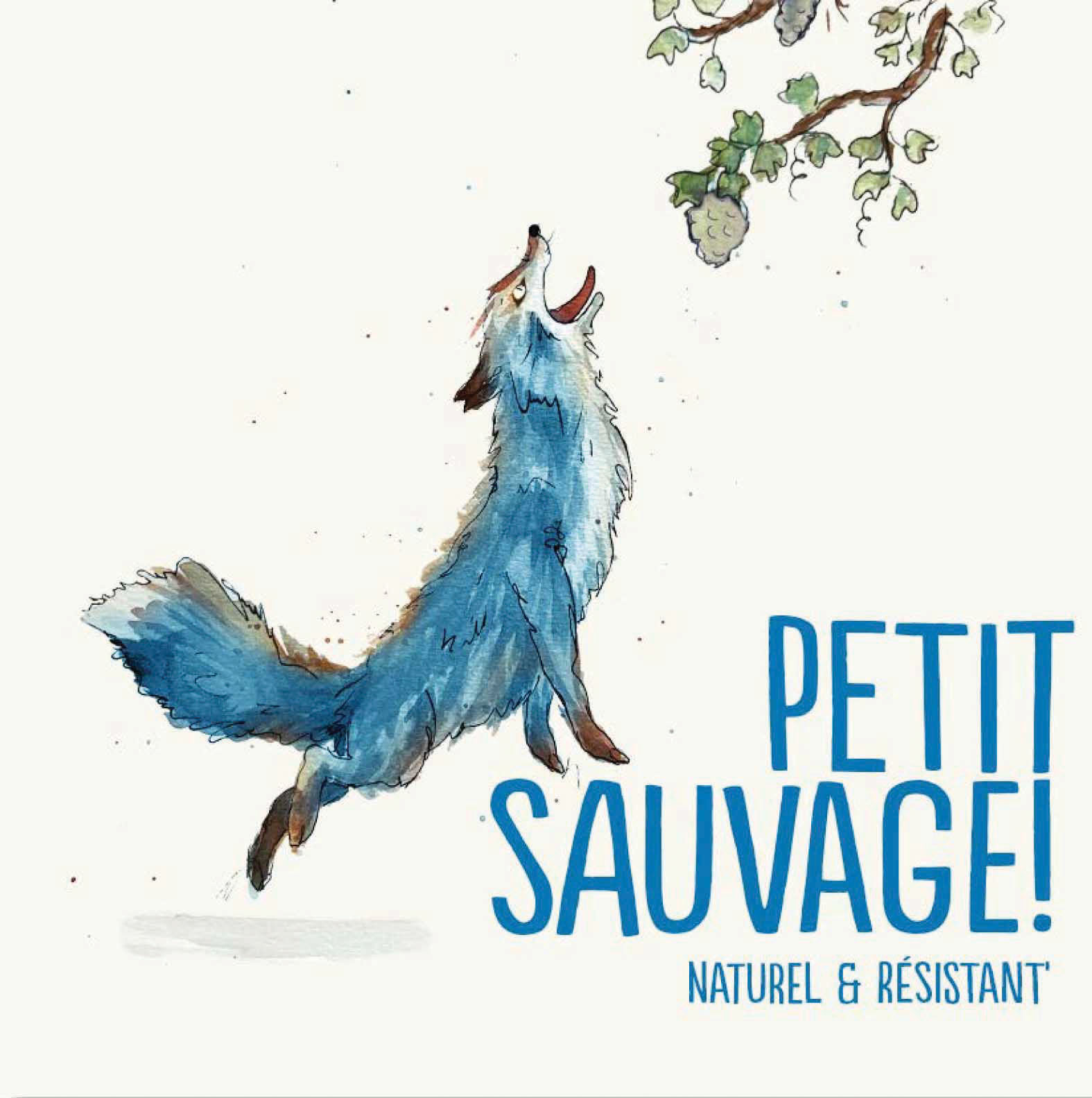 Petit Sauvage Blanc label