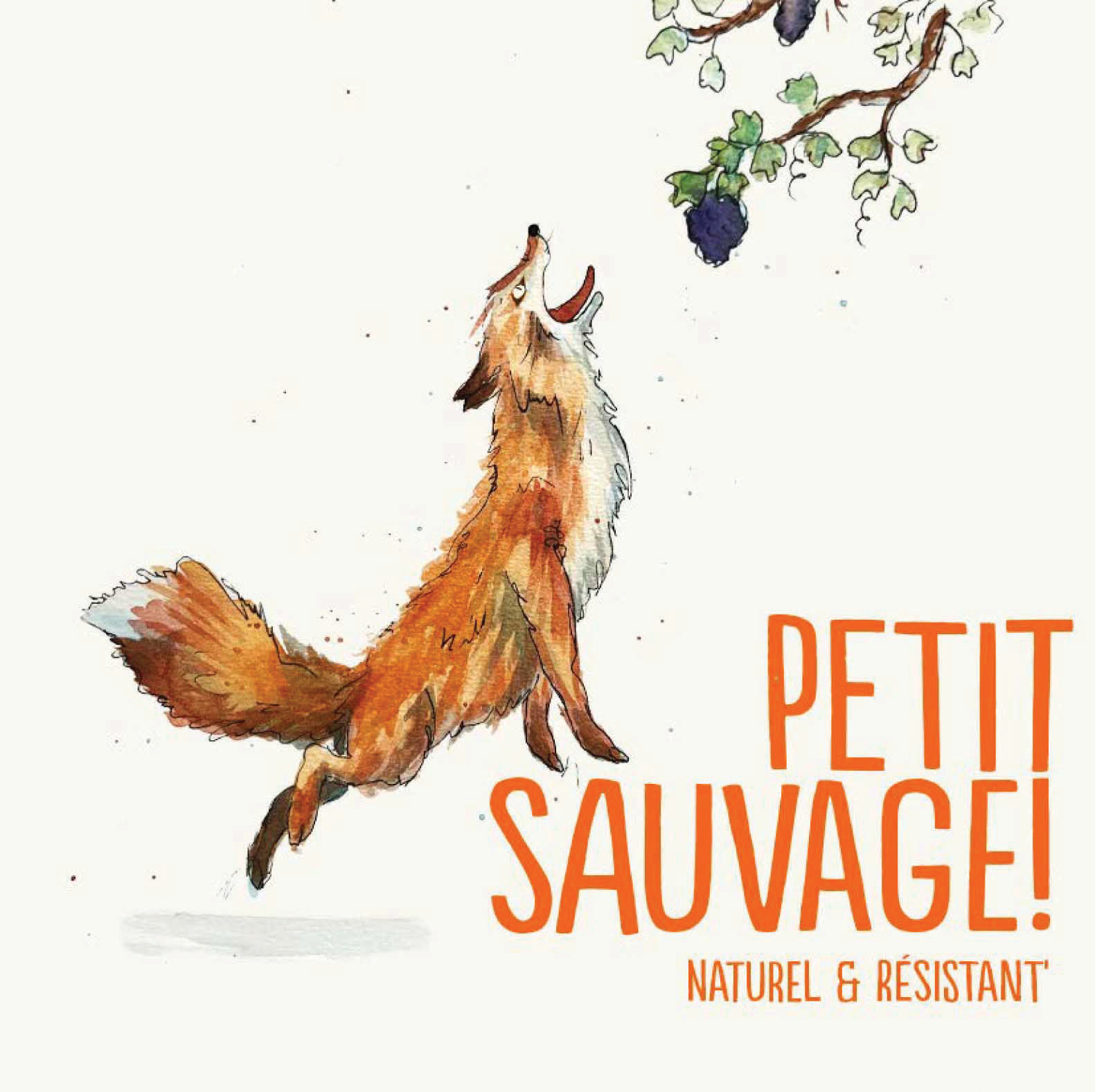 Petit Sauvage Rouge label