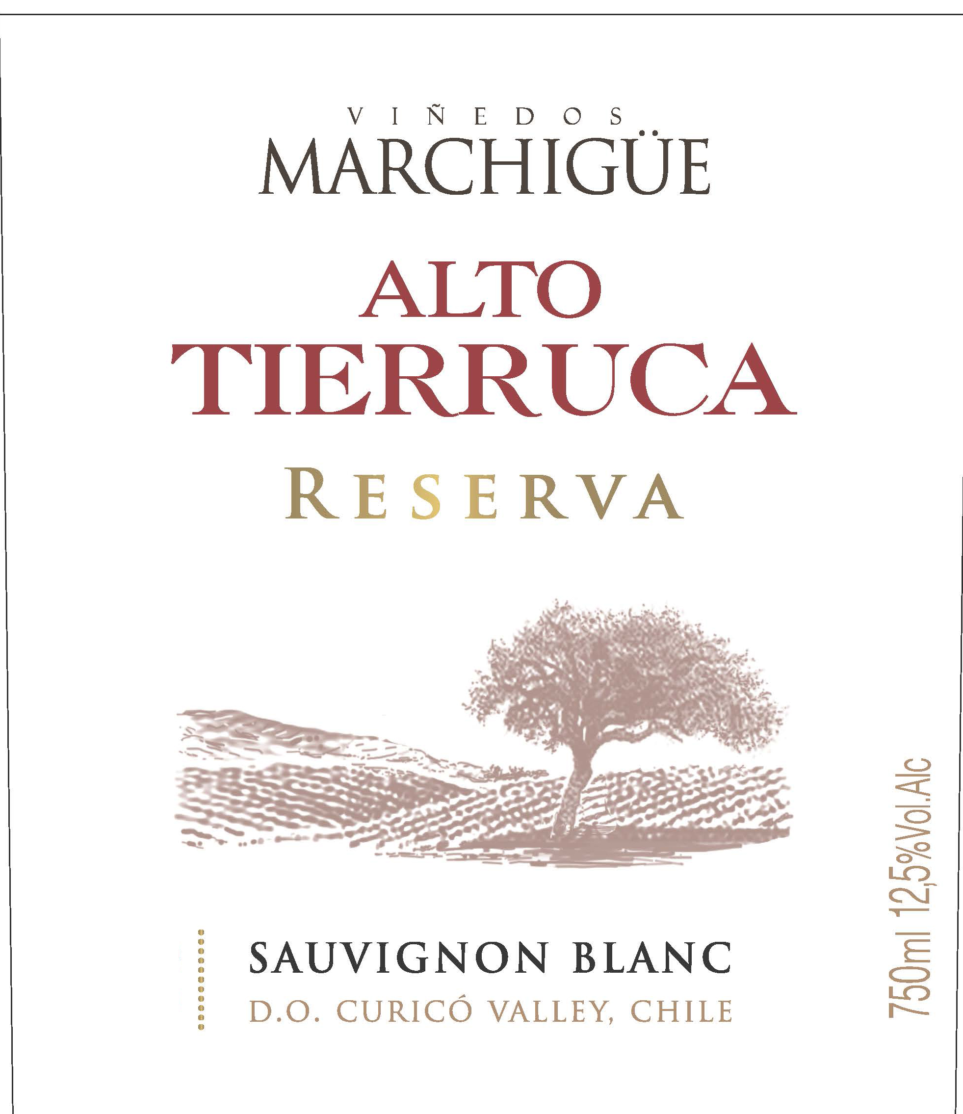 Alto Tierruca - Sauvignon Blanc - Reserva label