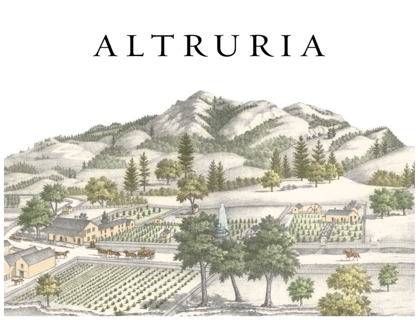Altruria - Cabernet Sauvignon label