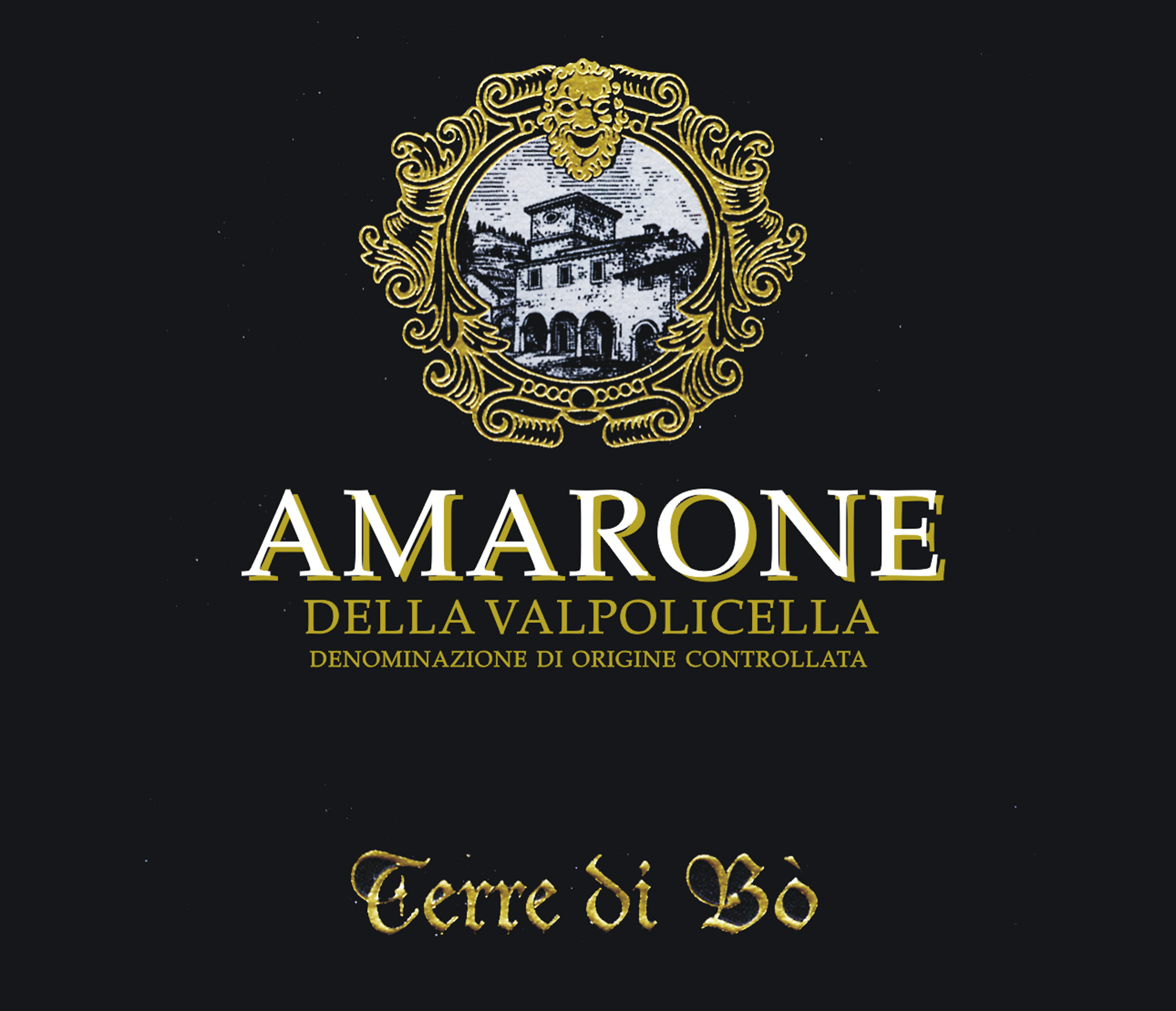 Terre di Bo - Amarone Della Valpolicella label