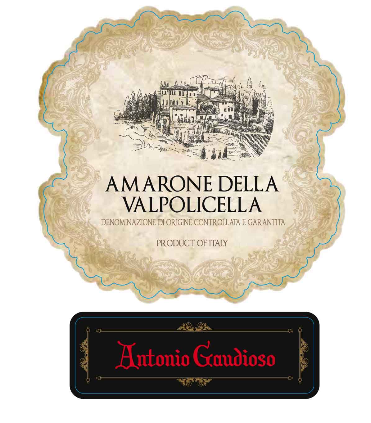 Antonio Gaudioso - Amarone della Valpolicella label