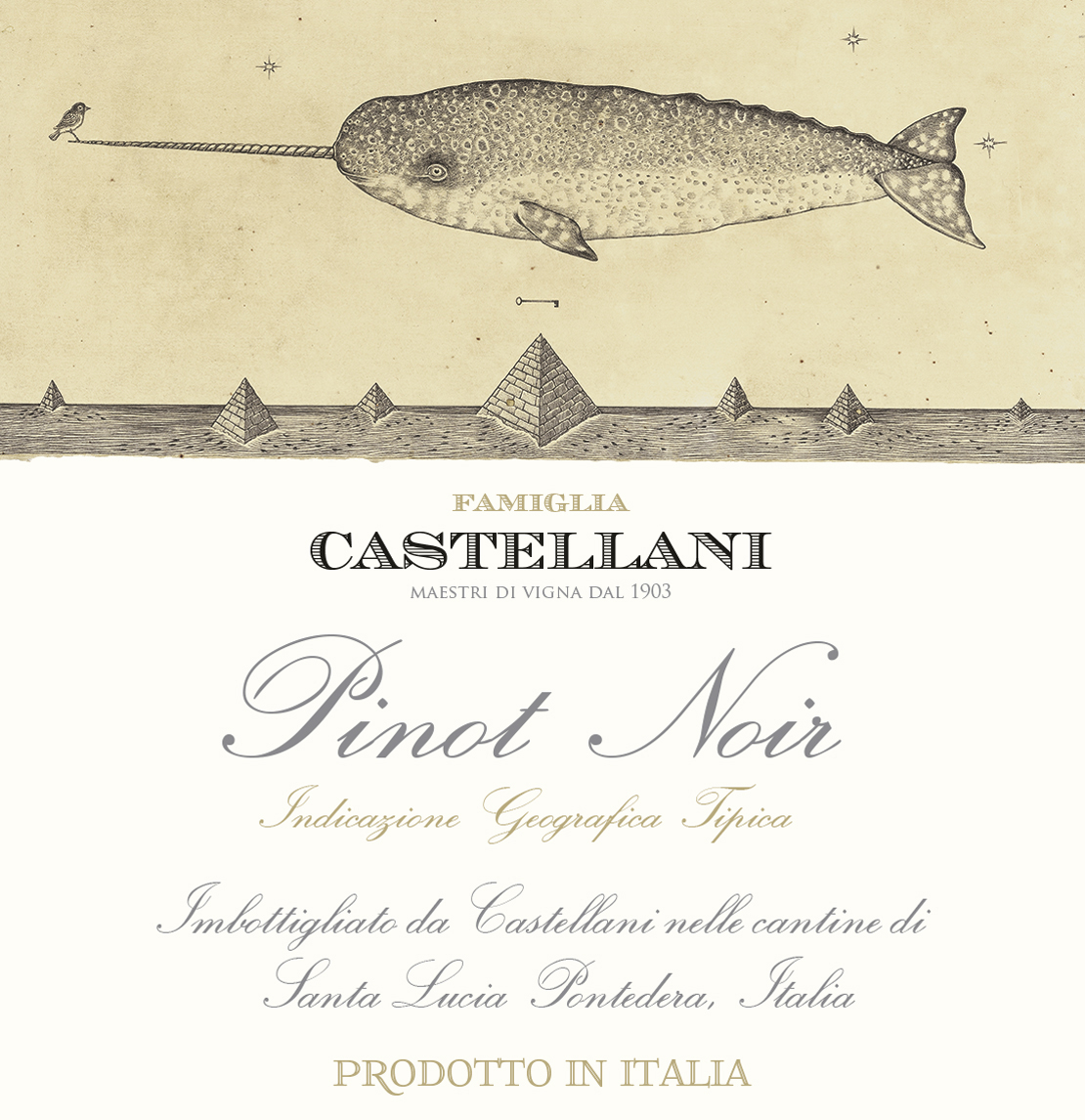 Famiglia Castellani - Collezione Collesano Pinot Noir label