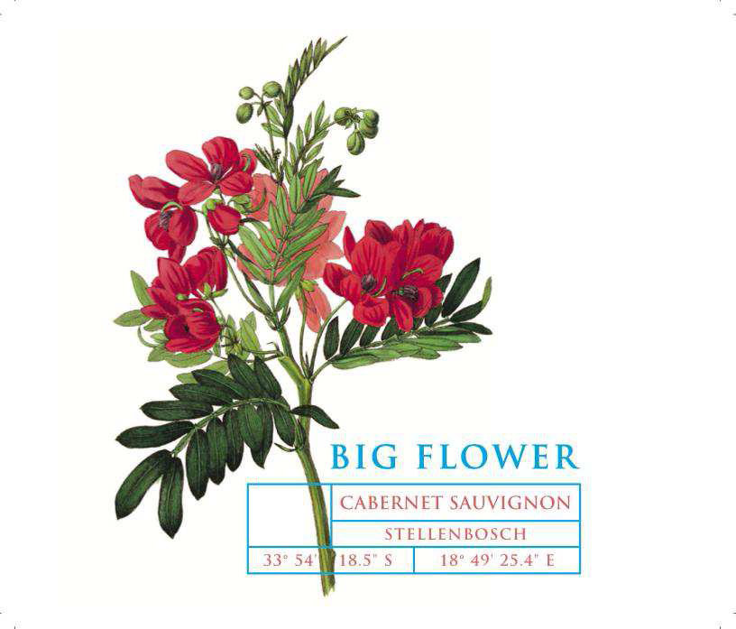Big Flower - Cabernet Sauvignon label