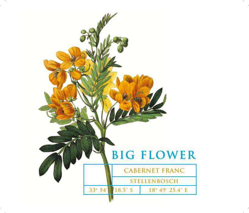 Big Flower - Cabernet Franc label