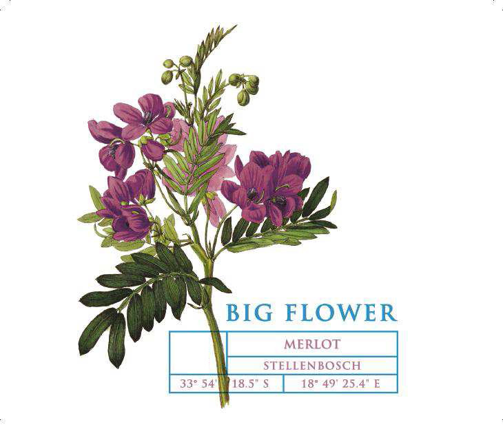 Big Flower - Merlot label