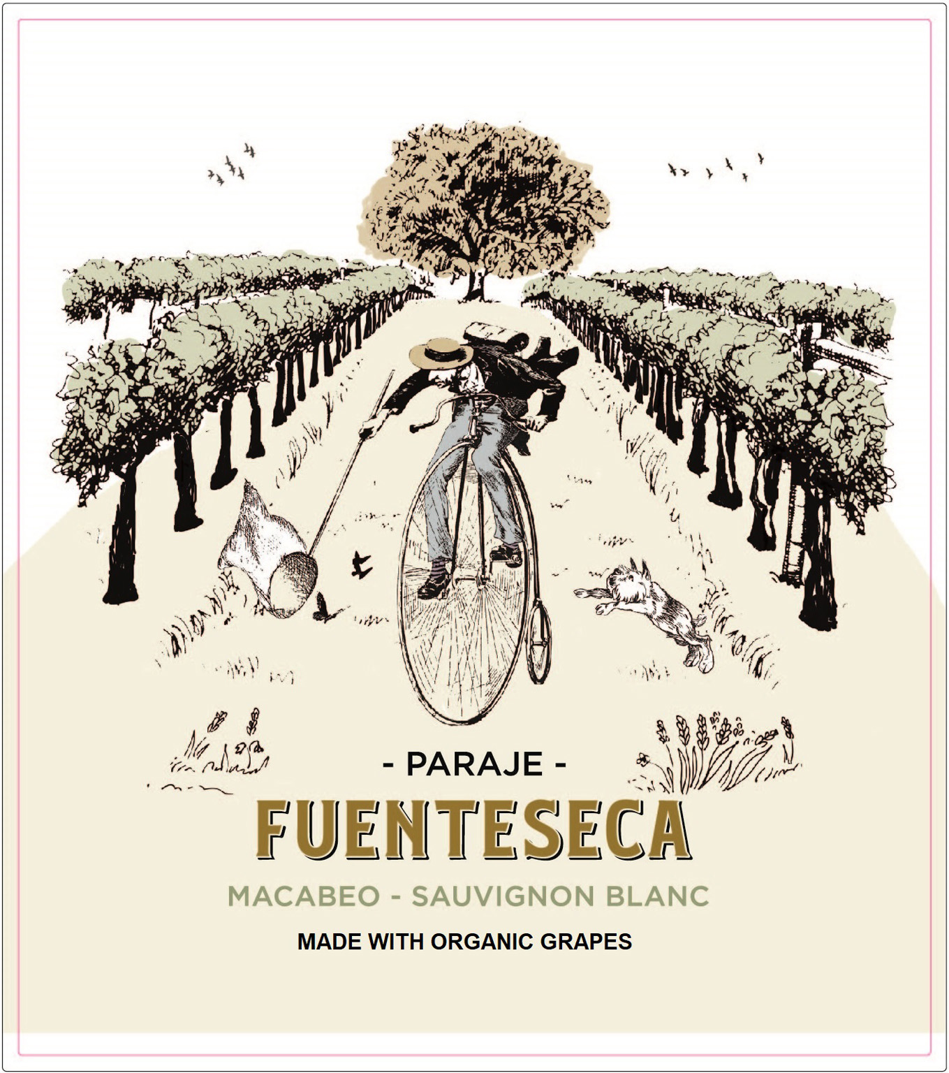 Fuenteseca - Macabeo - Sauvignon Blanc Organic label