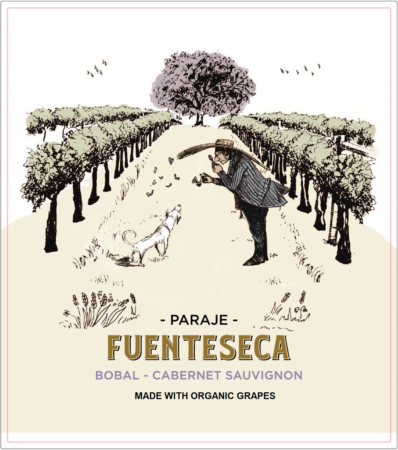 Fuenteseca - Bobal - Cabernet Sauvignon Organic label