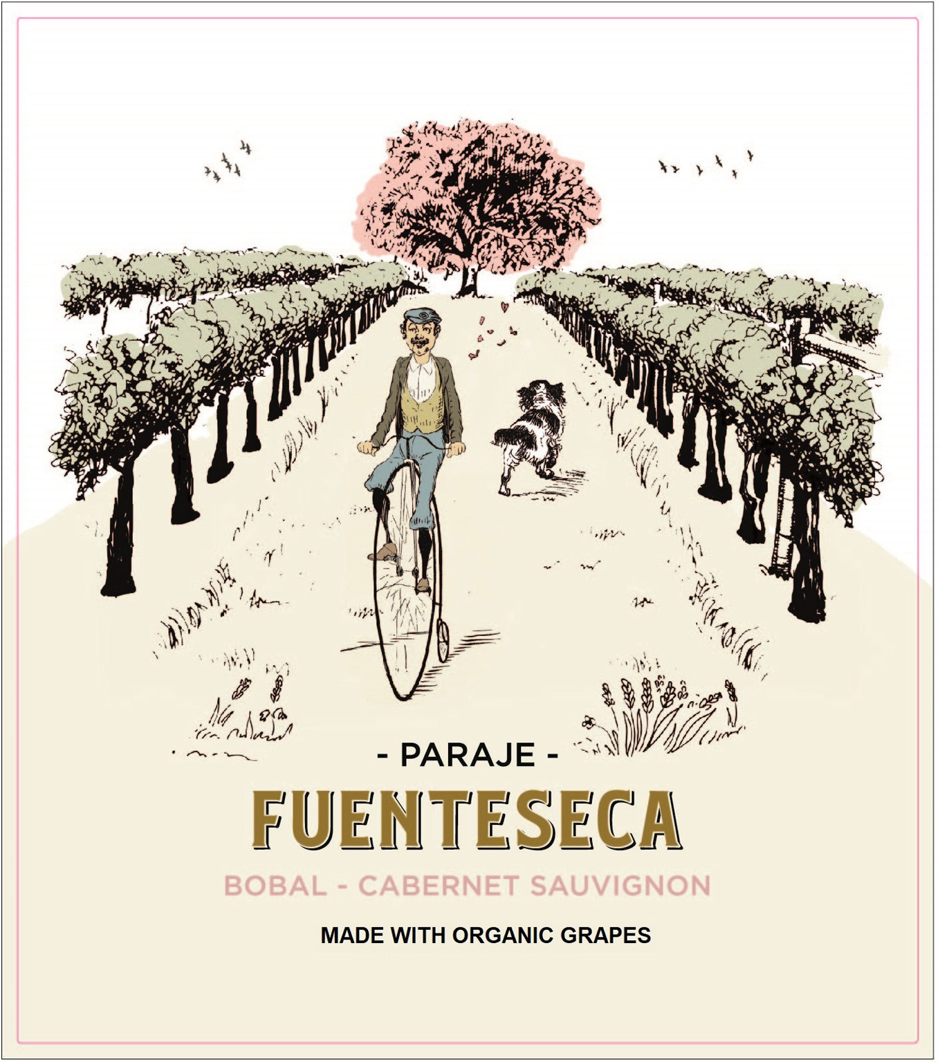 Fuenteseca - Bobal - Cabernet Sauvignon Organic Rose label