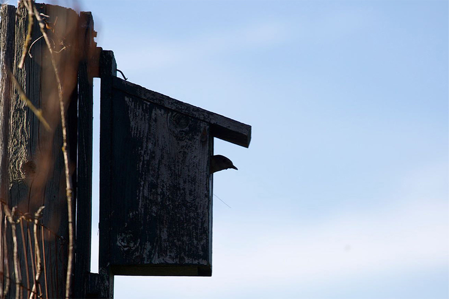 Keenan Winery Nature and Lifestyle