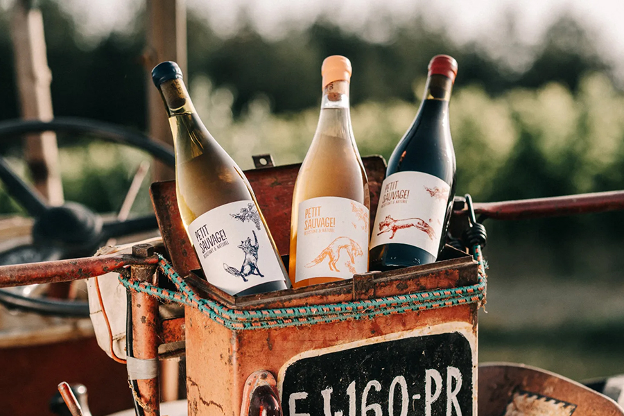 Petit Sauvage Beauty Shot