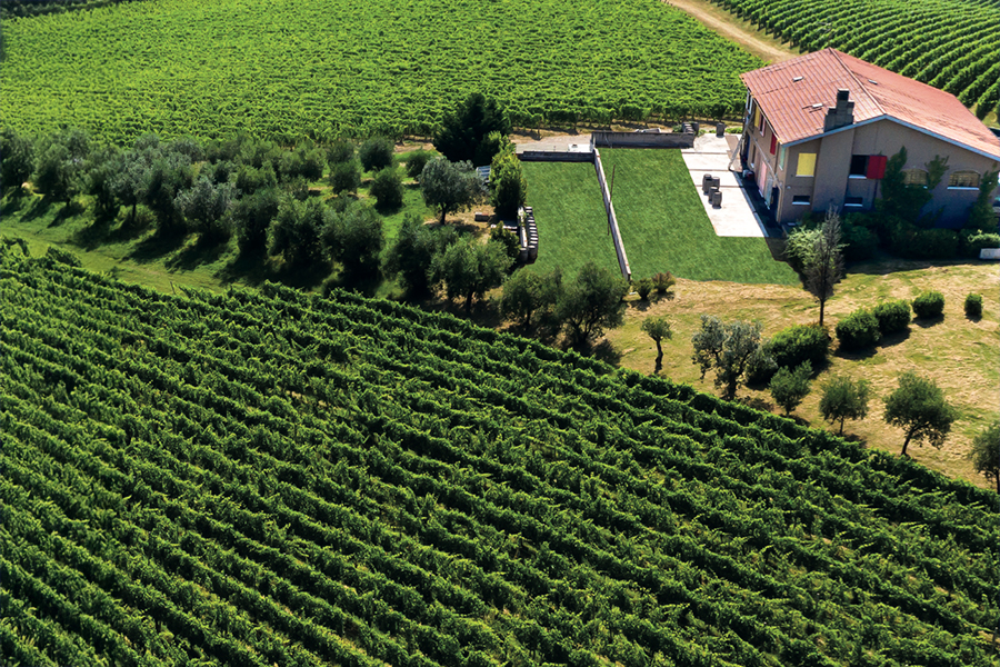 San Valentino Aerial view of vineyards and home
