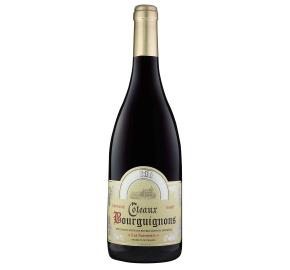 Les Sarments - Coteaux Bourguignons bottle