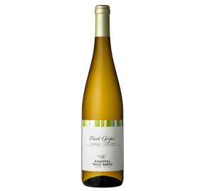 Eisacktaler Kellerei - Cantina Valle Isarco - Pinot Grigio bottle