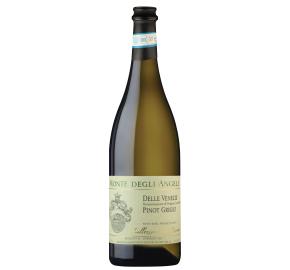 Monte Degli Angeli - Pinot Grigio bottle