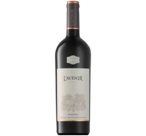 L'Avenir - Single Block Pinotage bottle