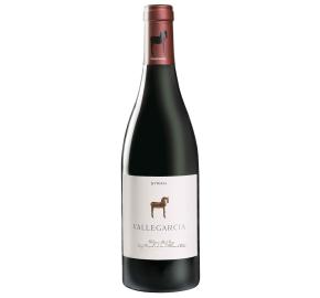 Vallegarcia - Syrah bottle