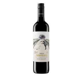 Fuenteseca - Bobal - Cabernet Sauvignon Organic bottle
