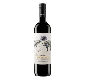 Fuenteseca - Bobal - Cabernet Sauvignon Organic bottle