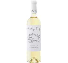Bodegas Santiago Ruiz - Rias Baixas bottle