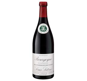 Louis Latour - Bourgogne Gamay bottle