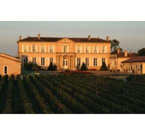 Chateau Branaire-Ducru Vineyard