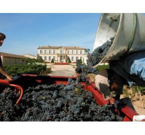 Chateau Branaire-Ducru Harvest 2