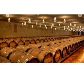 Chateau Troplong Mondot Barrels