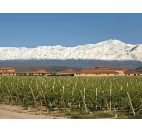 Finca Decero - Malbec Winery