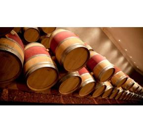 Chateau Grand-Puy Ducasse Barrels