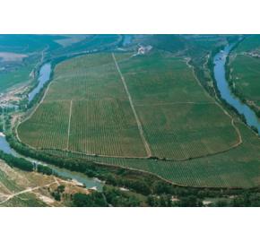 Bodegas LAN - Rioja - Reserva Vineyard