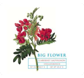 Big Flower - Cabernet Sauvignon label