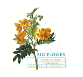 Big Flower - Cabernet Franc label