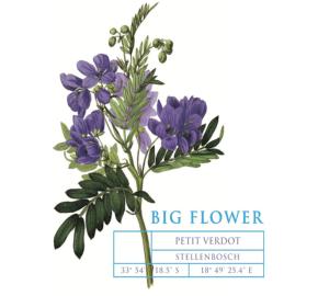 Big Flower - Petit Verdot label