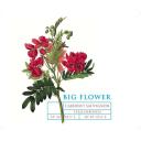 Big Flower - Cabernet Sauvignon