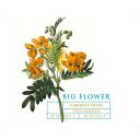 Big Flower - Cabernet Franc