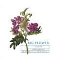 Big Flower - Merlot