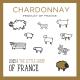 The Little Sheep of France - Chardonnay label