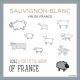 The Little Sheep of France - Sauvignon Blanc label