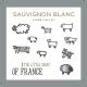 The Little Sheep of France - Sauvignon Blanc label