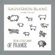 The Little Sheep of France Mini - Sauvignon Blanc label