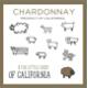 The Little Sheep of California - Chardonnay label