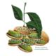 Sogno di Sorrento - Crema Pistachio label