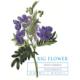 Big Flower - Petit Verdot label